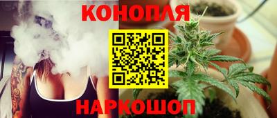 прущие крисы Кандалакша