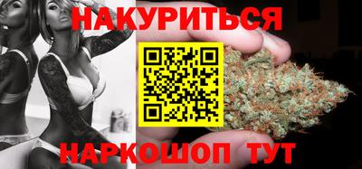 прущие крисы Кандалакша