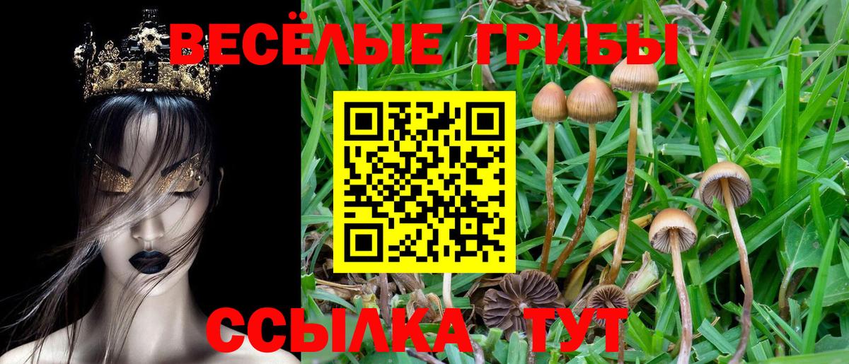 Галлюциногенные грибы MAGIC MUSHROOMS  Вход с VPN  Крымск 